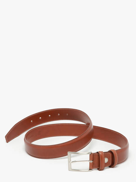 Belt Etrier Brown bride EBRI707C other view 2