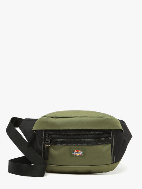Ashville Belt Bag  Dickies Green ashville KD0A4Y1U